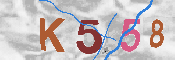 CAPTCHA 驗證圖片