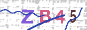 CAPTCHA 驗證圖片