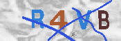 CAPTCHA 驗證圖片