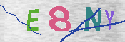 CAPTCHA 驗證圖片