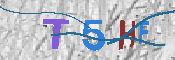 CAPTCHA 驗證圖片