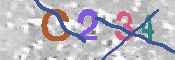 CAPTCHA 驗證圖片