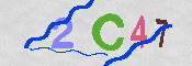 CAPTCHA 驗證圖片