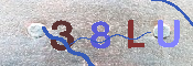 CAPTCHA 驗證圖片