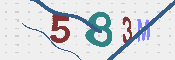 CAPTCHA 驗證圖片