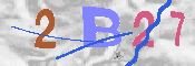 CAPTCHA 驗證圖片