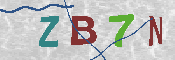 CAPTCHA 驗證圖片