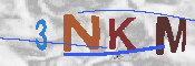 CAPTCHA 驗證圖片