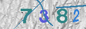 CAPTCHA 驗證圖片