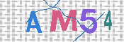 CAPTCHA 驗證圖片