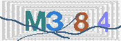 CAPTCHA 驗證圖片