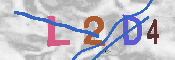 CAPTCHA 驗證圖片