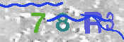 CAPTCHA 驗證圖片