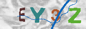 CAPTCHA 驗證圖片