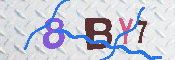 CAPTCHA 驗證圖片