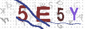 CAPTCHA 驗證圖片