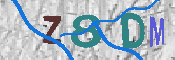 CAPTCHA 驗證圖片