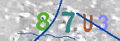 CAPTCHA 驗證圖片