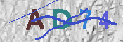 CAPTCHA 驗證圖片