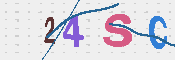 CAPTCHA 驗證圖片