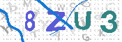 CAPTCHA 驗證圖片