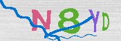 CAPTCHA 驗證圖片