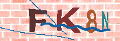CAPTCHA 驗證圖片