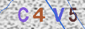 CAPTCHA 驗證圖片