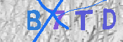 CAPTCHA 驗證圖片