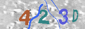CAPTCHA 驗證圖片