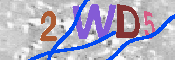CAPTCHA 驗證圖片