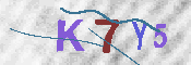 CAPTCHA 驗證圖片