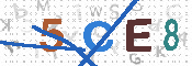 CAPTCHA 驗證圖片