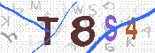 CAPTCHA 驗證圖片