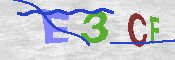 CAPTCHA 驗證圖片