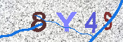 CAPTCHA 驗證圖片
