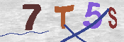 CAPTCHA 驗證圖片