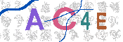 CAPTCHA 驗證圖片