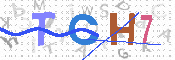 CAPTCHA 驗證圖片