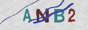 CAPTCHA 驗證圖片
