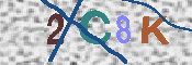 CAPTCHA 驗證圖片