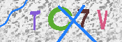 CAPTCHA 驗證圖片