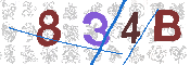 CAPTCHA 驗證圖片
