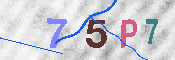 CAPTCHA 驗證圖片