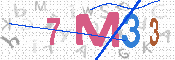 CAPTCHA 驗證圖片