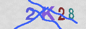 CAPTCHA 驗證圖片
