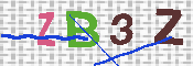 CAPTCHA 驗證圖片