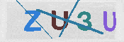 CAPTCHA 驗證圖片