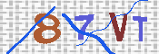 CAPTCHA 驗證圖片