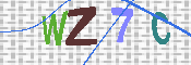 CAPTCHA 驗證圖片